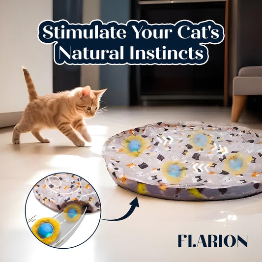 Interactive Fast Rolling Cat Toy – Motion-Activated Hide & Seek Mouse Game for Cats